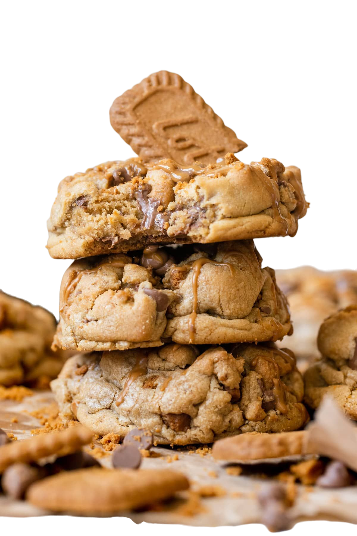 Biscoff chocolate chip